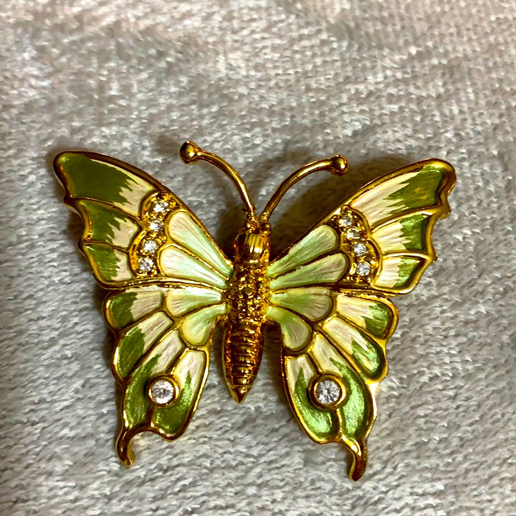 Pretty Butterfly